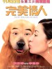 完美情人的图片