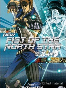 新北斗神拳海报