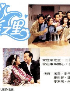 开心华之里海报