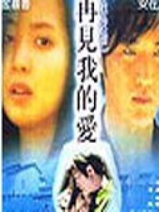 再见我的爱海报