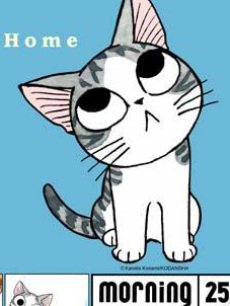 甜甜私房猫海报