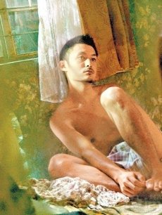 青苔海报